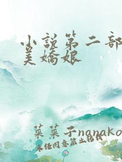 小说第二部山村美娇娘
