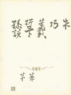 孙哲叶巧朱颜小说下载