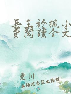 兵王于枫小说免费阅读全文
