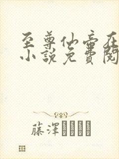 至尊仙帝在都市小说免费阅读