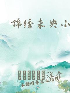 锦绣未央小说
