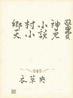 乡村小神医林小天小说免费阅读