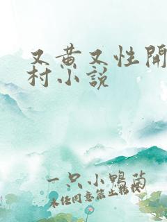 又黄又性开放乡村小说