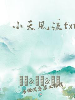 小天风流txt