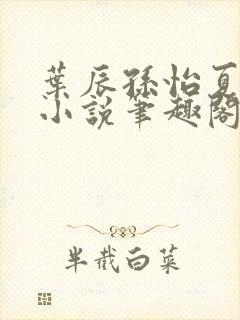 叶辰孙怡夏若雪小说笔趣阁