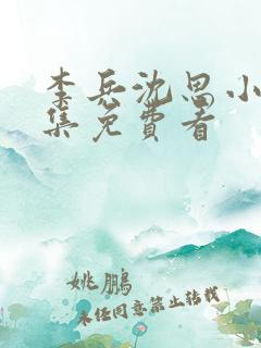李兵沈思小说全集免费看
