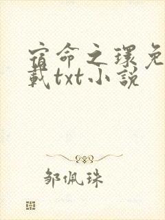 宿命之环免费下载txt小说