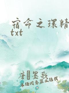 宿命之环精校版txt
