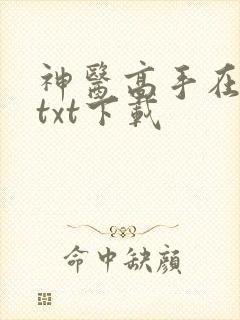 神医高手在都市txt下载