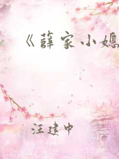 《薛家小媳妇》