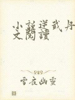 小说逆武丹尊全文阅读