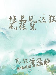 绝品风流狂医林风张慧