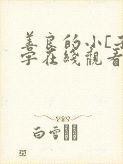 善良的小[子中字在线观看