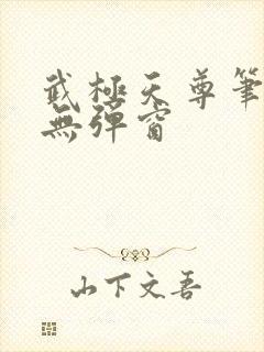 武极天尊笔趣阁无弹窗
