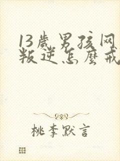 13岁男孩网瘾叛逆怎么戒除