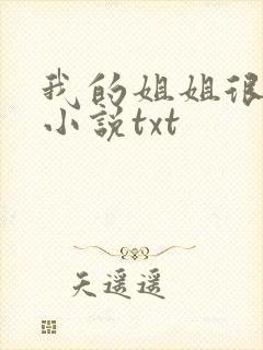 我的姐姐很弟控小说txt
