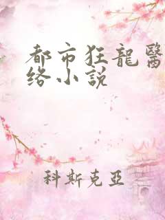 都市狂龙医仙网络小说