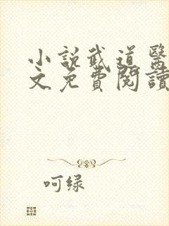 小说武道医王全文免费阅读
