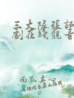 三大队张译电视剧在线观看免费
