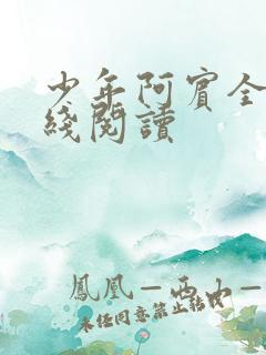 少年阿宾全本在线阅读