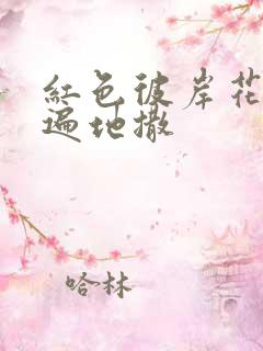 红色彼岸花花瓣遍地撒