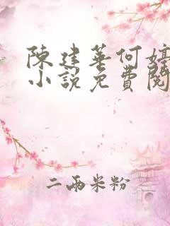 陈建华何婷婷的小说免费阅读全文