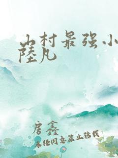 山村最强小神医陆凡