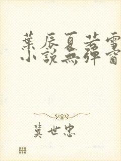叶辰夏若雪孙怡小说无弹窗