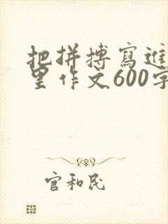 把拼搏写进青春里作文600字