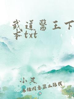 武道医王下载全本txt