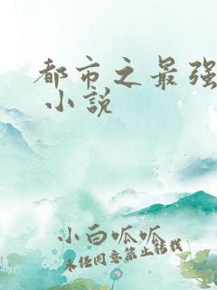 都市之最强仙帝 小说
