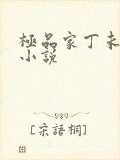 极品家丁未删减小说