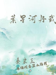 叶星河丹武至尊