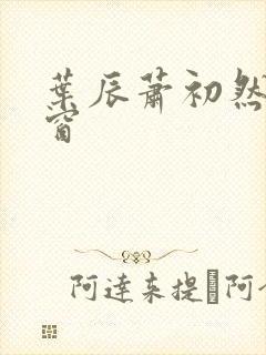 叶辰萧初然无弹窗