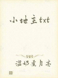 小地主txt