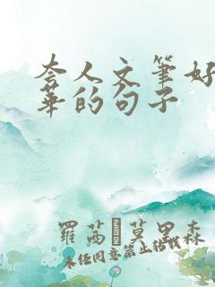 夸人文笔好有才华的句子