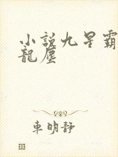 小说九星霸体诀龙尘
