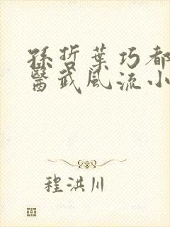 孙哲叶巧都市之医武风流小说