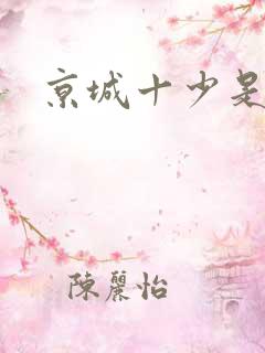 京城十少是谁