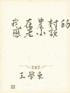 我在农村的性事恋老小说