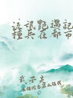 流氓艳遇记之特种兵在都市