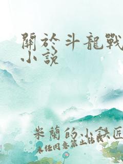 关于斗龙战士的小说