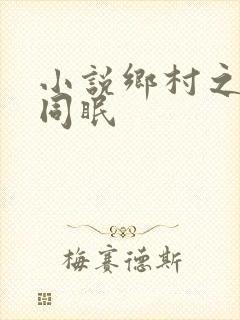 小说乡村之大被同眠