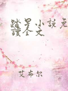 踏星小说免费阅读全文