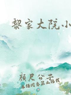 黎家大院小说