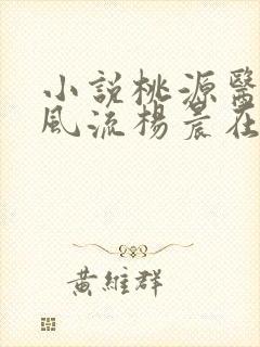 小说桃源医仙不风流杨晨在线阅读