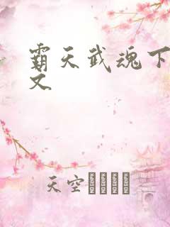 霸天武魂下载全文