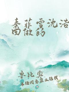 秦菲雪沈浩第几回做的