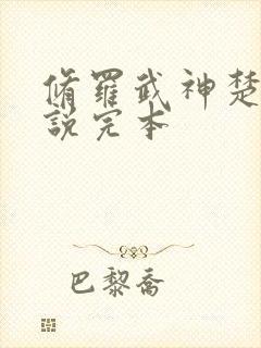 修罗武神楚枫小说完本
