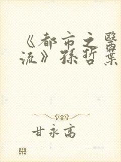 《都市之医武风流》孙哲叶巧